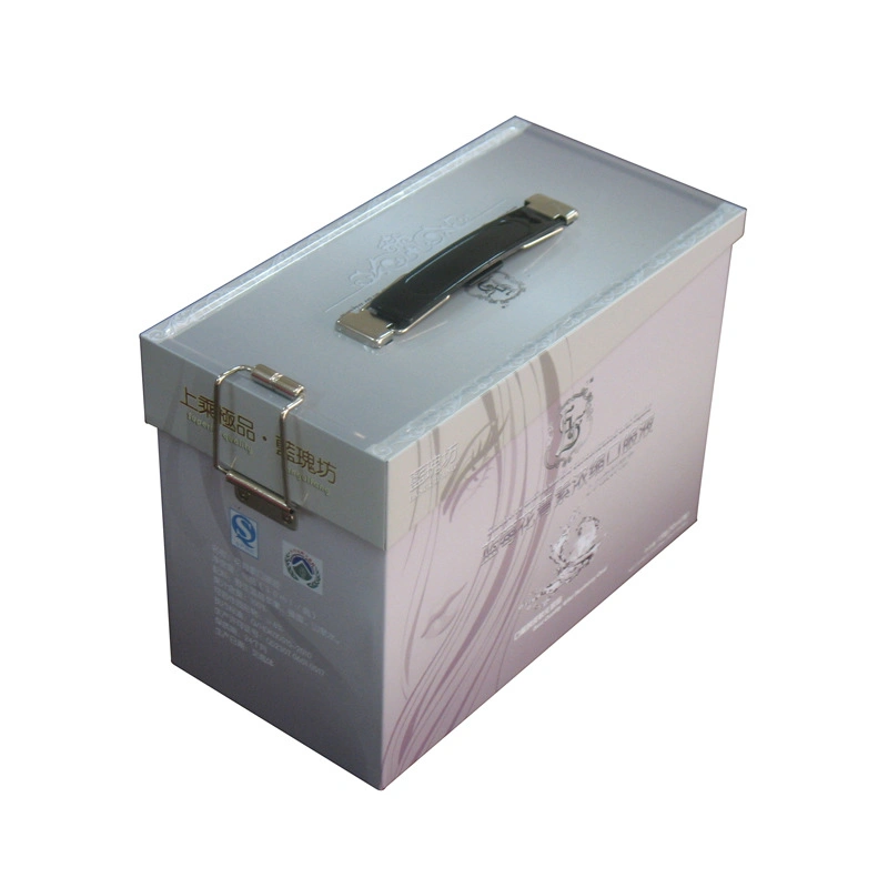 Custom Tall Rectangular Right-Angled Hinged Food Tools Packaging Tin Box with Handle